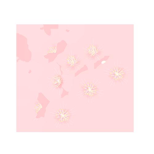 DƬ
